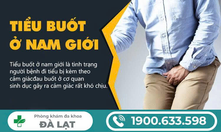 Hình ảnh minh họa